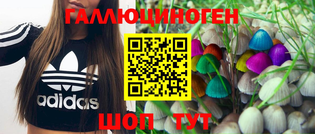 Прохладный  Псилоцибиновые грибы GOLDEN TEACHER  Вход с VPN 